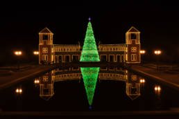 Decoração de natal com árvore gigante